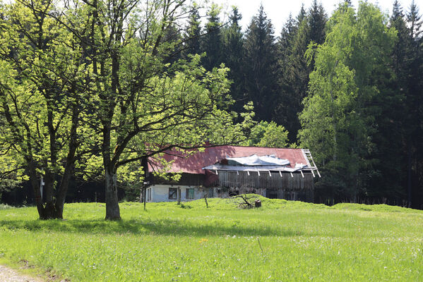 Orlické Záhoří, Trčkov, 8.6.2021
Trčkovská louka s chátrajícím domem Josefa Mertlíka.
Schlüsselwörter: Orlické Záhoří Trčkov Trčkovská louka