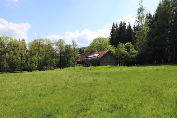 Orlické Záhoří, Trčkov, 8.6.2021
Trčkovská louka s chátrajícím domem Josefa Mertlíka.
Keywords: Orlické Záhoří Trčkov Trčkovská louka Aplotarsus incanus