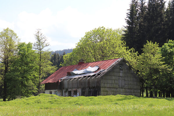 Orlické Záhoří, Trčkov, 8.6.2021
Chátrající dům Josefa Mertlíka
Keywords: Orlické Záhoří Trčkov Trčkovská louka