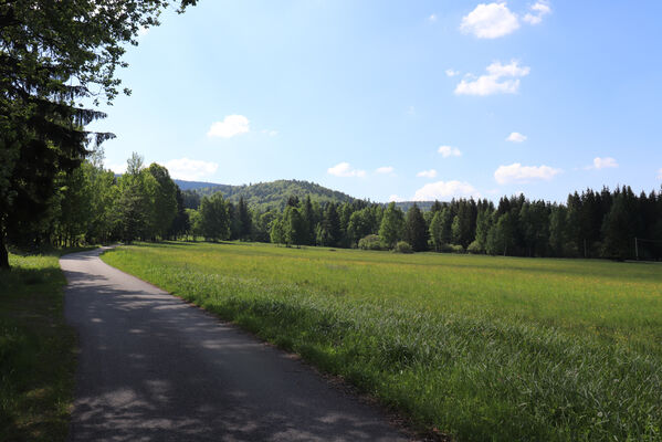 Orlické Záhoří, Trčkov, 8.6.2021
Rezervace Trčkovská louka a Trčkov
Keywords: Orlické Záhoří Trčkov Trčkovská louka Aplotarsus incanus