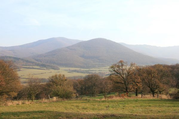 Selec, 8.11.2018
Považský Inovec, vrch Hradisko. Podled z pastevního lesa pod Bieleným vrchem. 
Klíčová slova: Považský Inovec Selec vrch Hradisko