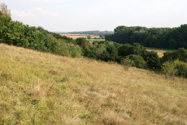 Semechnice - Pustina, 15.9.2009
Pohled ze stepi k jihu na Broumarské slatiny.
Klíčová slova: Semechnice Pustina