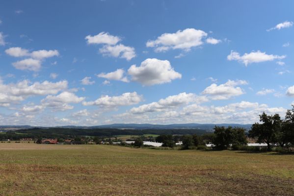 Semechnice, 7.8.2021
Kruhovka - pohled na Orlické hory.
Klíčová slova: Semechnice Kruhovka Orlické hory