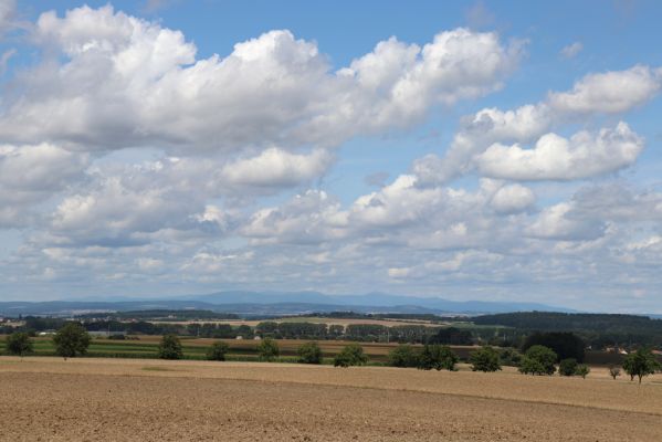 Semechnice, 7.8.2021
Vrch Pustina - pohled na Krkonoše.
Klíčová slova: Semechnice vrch Pustina Krkonoše