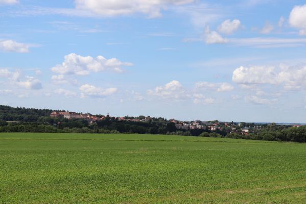 Semechnice, 7.8.2021
Vrch Pustina - pohled na Opočno.
Klíčová slova: Semechnice vrch Pustina Opočno