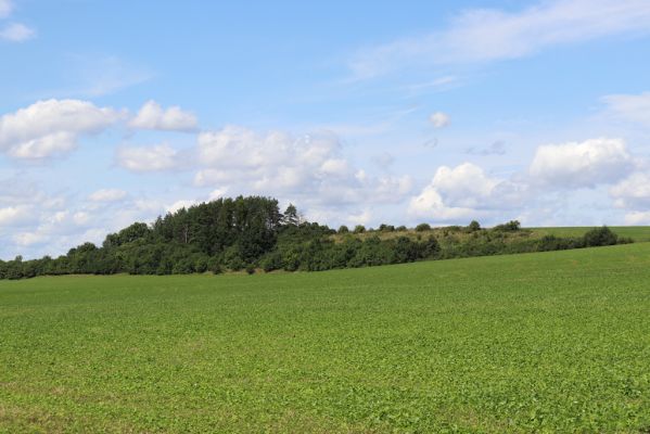 Semechnice, 7.8.2021
V brodku. Pohled na Pustinu.
Klíčová slova: Semechnice V brodku Pustina