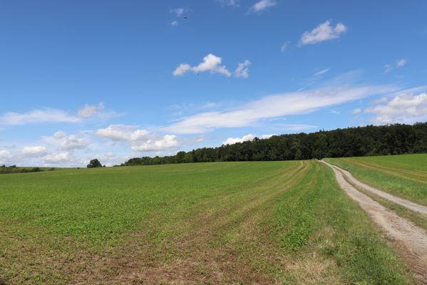 Semechnice, 7.8.2021
V brodku. Pohled na Chlum.
Klíčová slova: Semechnice V brodku Chlum