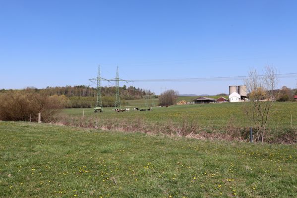 Újezd pod Troskami, 19.4.2019
Semínova Lhota - pastvina.
Klíčová slova: Újezd pod Troskami Semínova Lhota pastvina