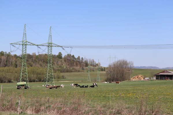 Újezd pod Troskami, 19.4.2019
Semínova Lhota - pastvina
Klíčová slova: Újezd pod Troskami Semínova Lhota pastvina