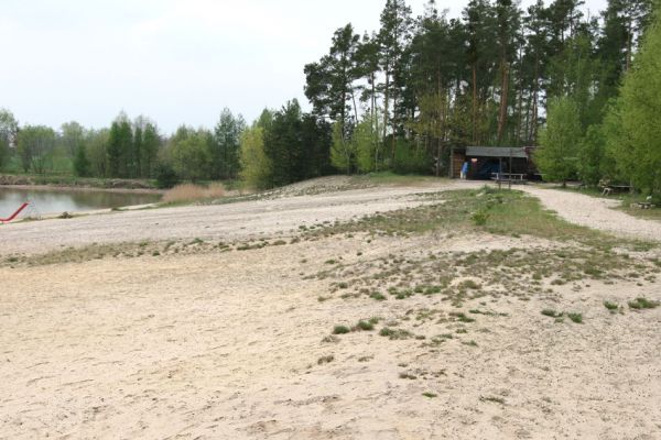 Semín, 26.4.2010
Písčitá pláž v turistickém kempu. Biotop kovaříka Dicronychus equisetioides.
Klíčová slova: Semín kemp Dicronychus equisetioides