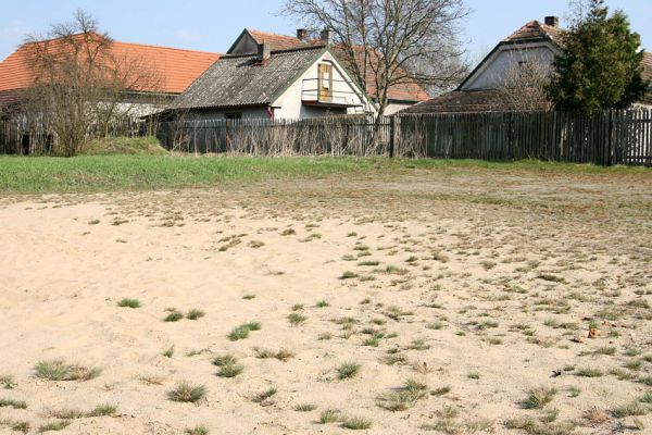 Semín, 8.4.2010
Semínský přesyp. Domov pískomilných svižníků, včel a vos.
Mots-clés: Semín Semínský přesyp Dicronychus equisetioides