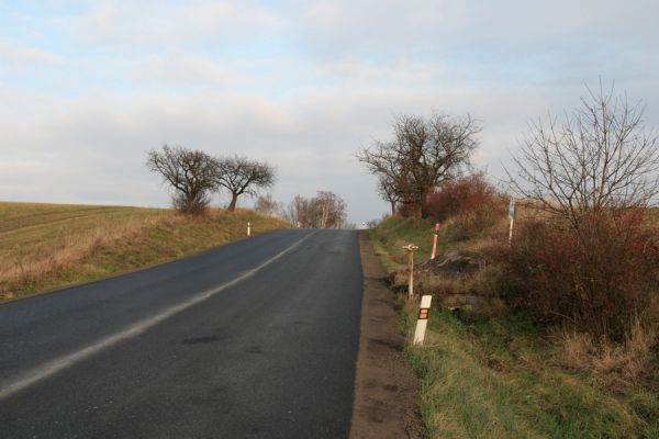 Sezemice, 15.11.2008
Počátek třešňové aleje u silnice na obec Časy. Biotop krasce Anthaxia candens.
Keywords: Sezemice třešeň Anthaxia candens