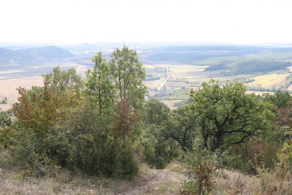 Šivetice, 2.10.2013
Vrch Muteň - cesta k vysílači.
Mots-clés: Šivetice vrch Muteň