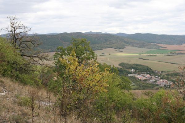 Šivetice, 2.10.2013
Vrch Muteň - zarůstající lesostep. Pohled na Gemerské Teplice.



Klíčová slova: Šivetice vrch Muteň Gemerské Teplice