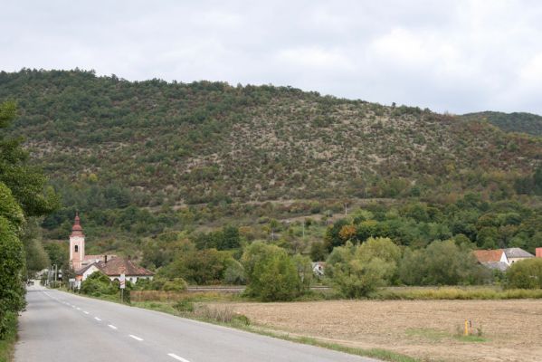 Jelšavská Teplica, 2.10.2013
Pohled na zarůstající lesostep.
Klíčová slova: Jelšavská Teplica