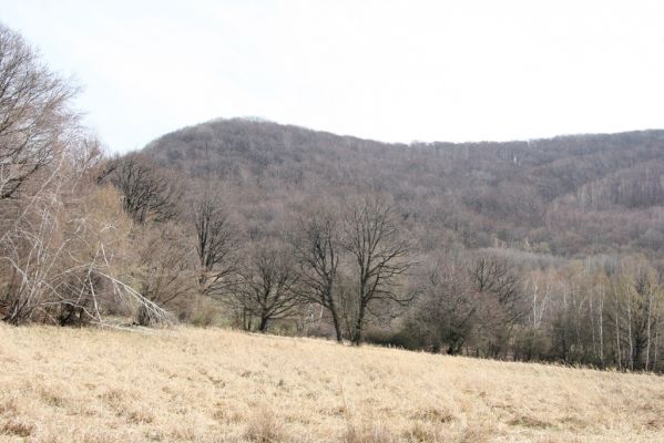 Slanské vrchy, Milíč, 28.3.2014
Marocké louky a Suchá hora.



Klíčová slova: Slanské vrchy Milíč Marocké louky Suchá hora