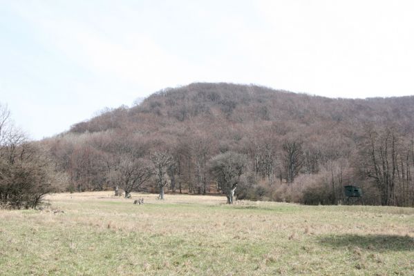 Slanské vrchy, Milíč, 28.3.2014
Marocké louky a Suchá hora.


Klíčová slova: Slanské vrchy Milíč Marocké louky Suchá hora