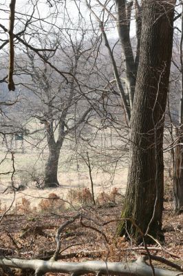 Slanské vrchy, Milíč, 28.3.2014
Marocká hoľa - Marocké louky od Suché hory.



Klíčová slova: Slanské vrchy Milíč Marocká hoľa Marocké louky Suchá hora