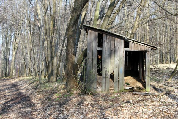 Slanské vrchy, Milíč, 28.3.2014
Marocká hoľa. Turistická ubytovna u Malé Márovky.


Klíčová slova: Slanské vrchy Milíč Marocká hoľa Malá Márovka