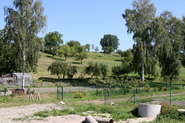 Slatina, 9.9.2009
Pohled na rozsáhlý sad v obci Slatina.
Klíčová slova: Slatina