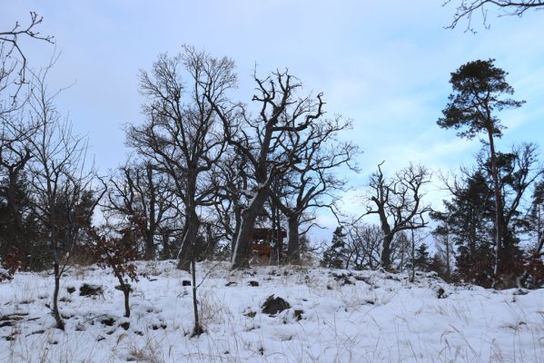 Slatiňany, 13.1.2021
Na Chlumu.
Mots-clés: Slatiňany Na Chlumu