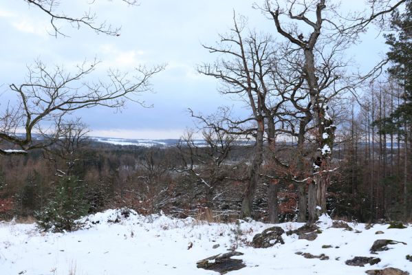 Slatiňany, 13.1.2021
Na Chlumu.
Schlüsselwörter: Slatiňany Na Chlumu