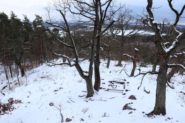 Slatiňany, 13.1.2021
Na Chlumu.
Mots-clés: Slatiňany Na Chlumu