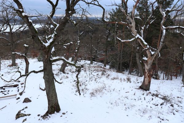 Slatiňany, 13.1.2021
Na Chlumu.
Mots-clés: Slatiňany Na Chlumu