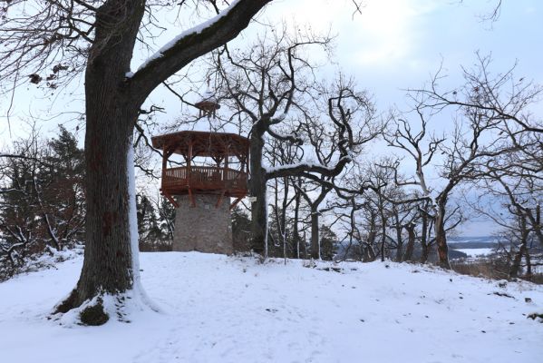 Slatiňany, 13.1.2021
Na Chlumu.
Klíčová slova: Slatiňany Na Chlumu