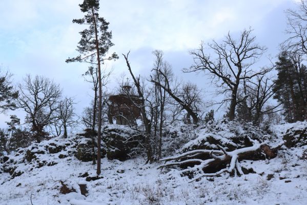 Slatiňany, 13.1.2021
Na Chlumu.
Mots-clés: Slatiňany Na Chlumu