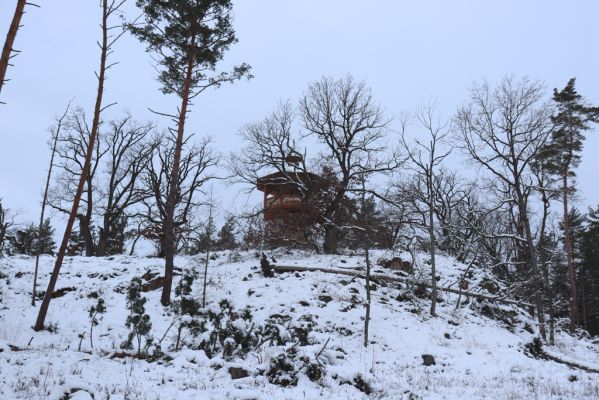 Slatiňany, 13.1.2021
Na Chlumu.
Mots-clés: Slatiňany Na Chlumu