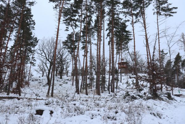 Slatiňany, 13.1.2021
Na Chlumu.
Schlüsselwörter: Slatiňany Na Chlumu