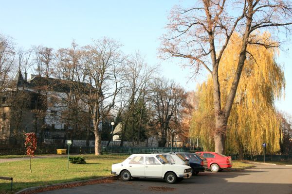Slatiňany, 20.10.2009
Lípa na Smetanově nábřeží, vlevo zámek.
Klíčová slova: Slatiňany Lamprodila rutilans
