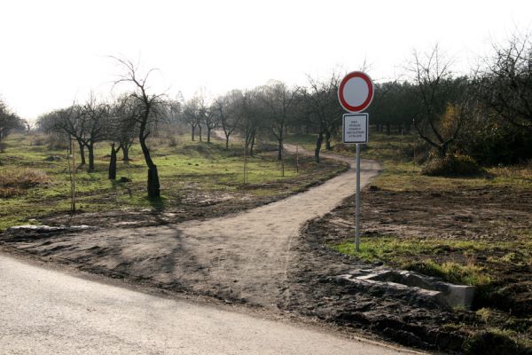Slatiňany, 20.10.2009
Vrchlického sady. Revitalizace třešňovky.
Klíčová slova: Slatiňany Anthaxia candens