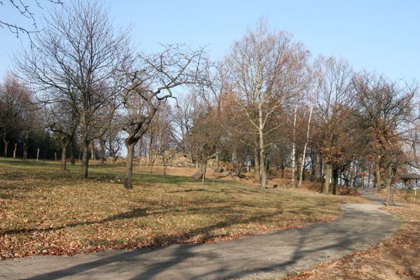 Slatiňany, 20.10.2009
Vrchlického sady- třešňovka.
Schlüsselwörter: Slatiňany Anthaxia candens