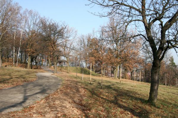 Slatiňany, 20.10.2009
Vrchlického sady. Revitalizace třešňovky.
Klíčová slova: Slatiňany Anthaxia candens