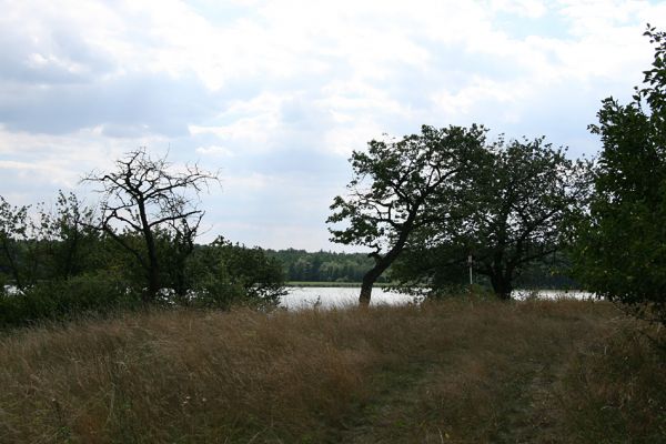 Slavětín nad Metují - rybník Tuří, 5.8.2008
Stará třešňovka nad rybníkem Tuří.
Schlüsselwörter: Slavětín nad Metují Tuří třešňovka