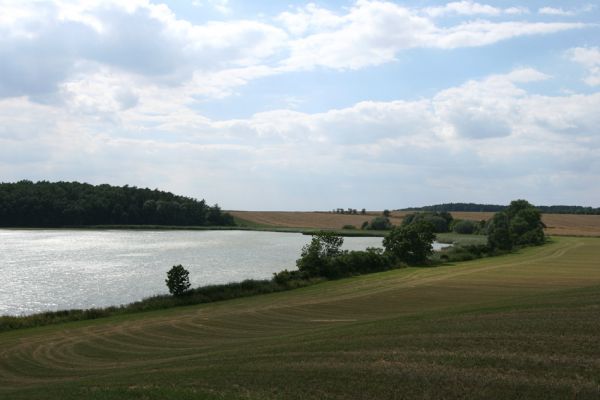 Slavětín nad Metují - rybník Tuří, 5.8.2008
Pohled ze staré třešňovka na rybník Tuří.
Mots-clés: Slavětín nad Metují Tuří