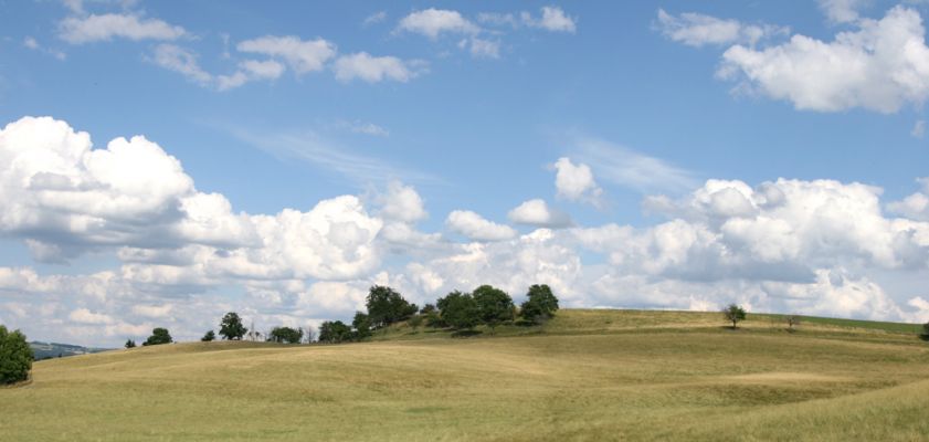 Slavětín nad Metují - obora, 20.7.2008
Obora na svazích vrchu Hlohov - západní svah. Někde stepi zanikají - zde vznikají...
Schlüsselwörter: Slavětín nad Metují obora