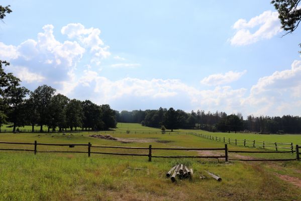 Licibořice, 7.8.2020
Slavická obora - pastviny.
Klíčová slova: Licibořice Slavice Slavická obora pastviny
