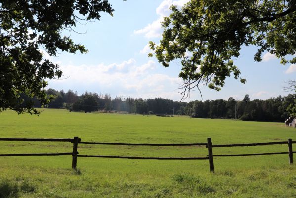 Licibořice, 7.8.2020
Slavická obora - pastviny.
Klíčová slova: Licibořice Slavice Slavická obora pastviny