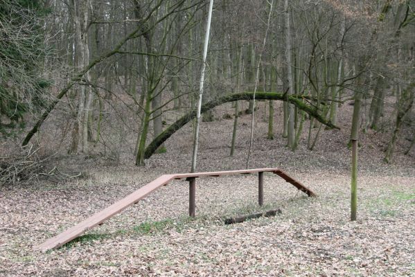 Sobotka, 3.2.2016
Humprecht - zámecký park, údolí potoka Sobotky.



Klíčová slova: Sobotka Humprecht zámecký park
