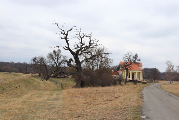 Břeclav, 1.4.2022
Obora Soutok - zámeček Lány
Schlüsselwörter: Břeclav obora Soutok Lány