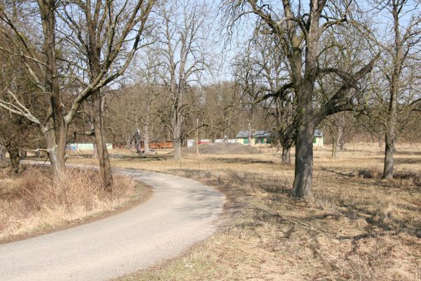 Břeclav - Pohansko, 24.3.2010
Jírovcový háj u tábora.
Klíčová slova: Břeclav Pohansko