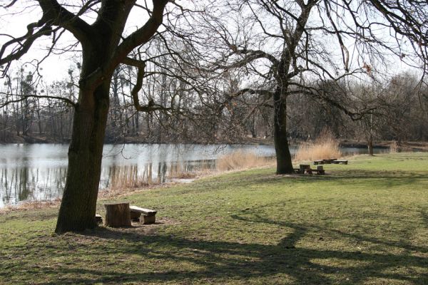 Břeclav - Pohansko, 24.3.2010
Piknikoviště u loveckého zámečku Pohansko. Letos jsme zde byli prvními entomologickými hosty.
Klíčová slova: Břeclav Pohansko