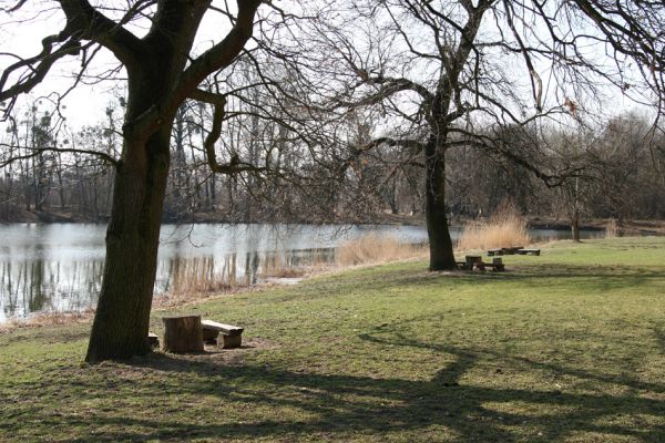 Břeclav - Pohansko, 24.3.2010
Piknikoviště u loveckého zámečku Pohansko. Letos jsme zde byli prvními entomologickými hosty.
Mots-clés: Břeclav Pohansko