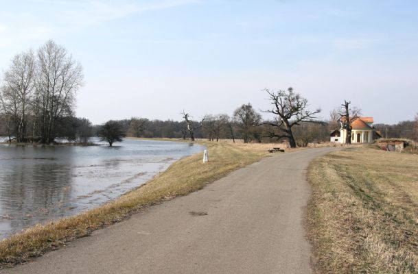 Břeclav, obora Soutok, 24.3.2010
Jarní záplava Dyje u zámečku Lány.
Klíčová slova: Břeclav Lány