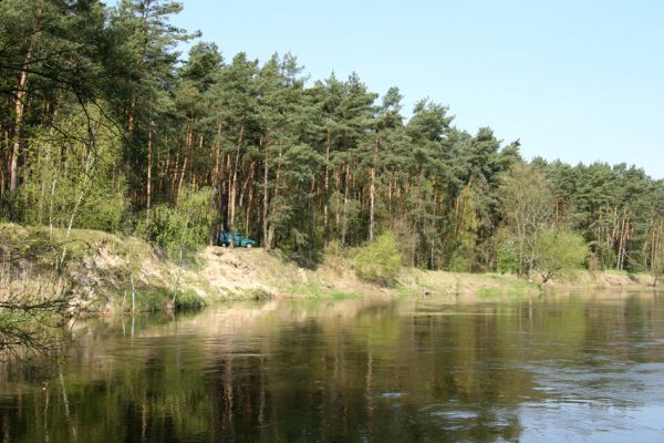 Sowiniec, 27.4.2009
Řeka Warta u Bílé hory. 
Schlüsselwörter: Sowiniec Warta Bílá hora Cidnopus aeruginosus