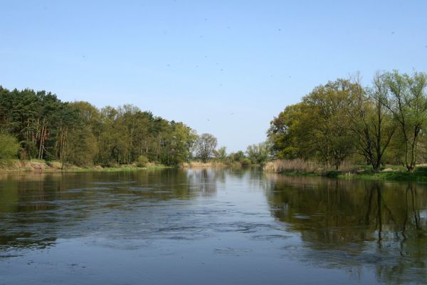 Sowiniec, 27.4.2009
Řeka Warta u Bílé hory.
Klíčová slova: Sowiniec Warta Bílá hora