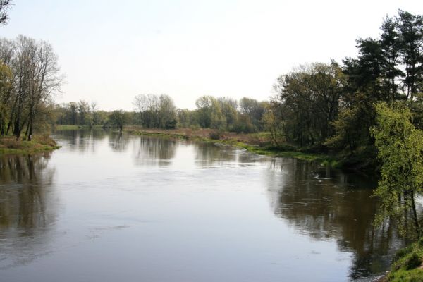 Sowiniec, 27.4.2009
Řeka Warta z Bílé hory.
Klíčová slova: Sowiniec Warta Bílá hora